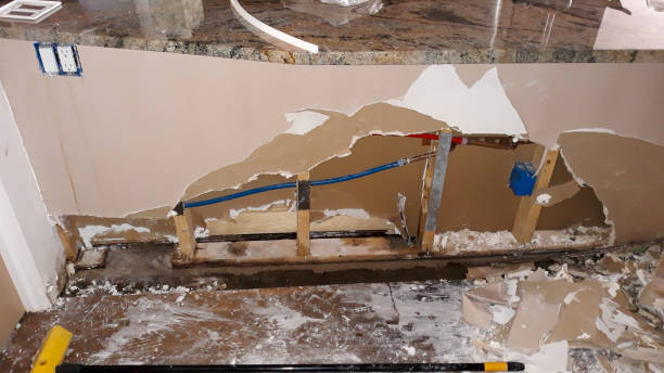 Best Water damage cleanup near me  in Pearl River, MS