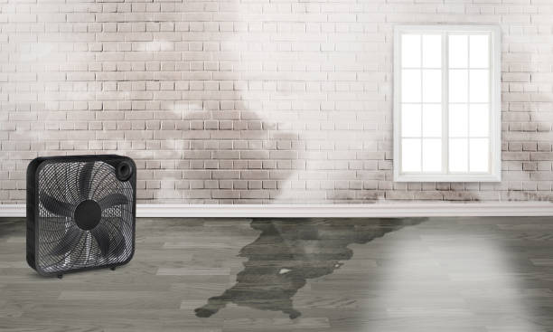 Best Flood restoration services  in Pearl River, MS