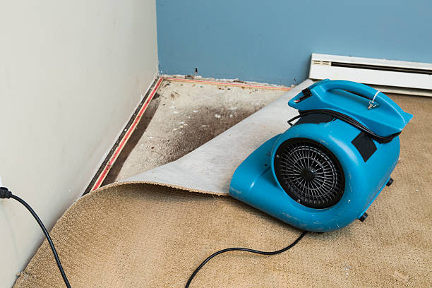 Best Water damage restoration near me  in Pearl River, MS
